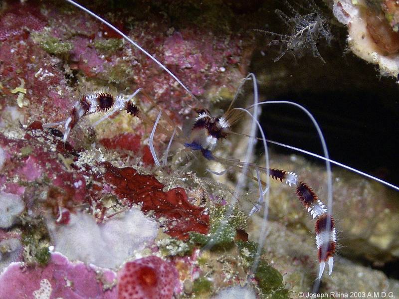 R0010331