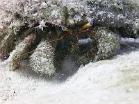 R0010950