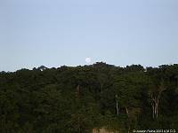 RIMG0068